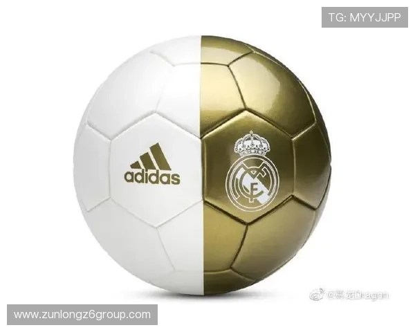 尊龙体育登录线路常见问题及快速解决方法帮助玩家轻松应对 尊龙体育登录线路常见问题及快速解决方法帮助玩家轻松应对