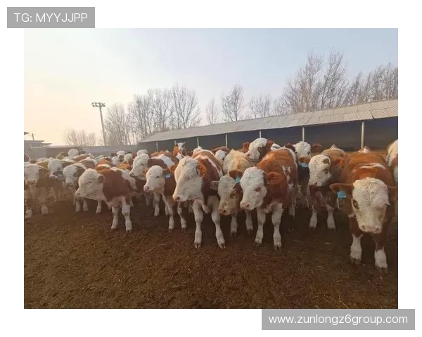 尊龙凯时官方手机版注重用户隐私保护,保障每位玩家的个人信息安全 尊龙凯时官方手机版注重用户隐私保护,保障每位玩家的个人信息安全