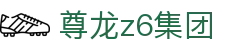 尊龙z6集团|尊龙z6登录 - (中国)盐城尊龙z6集团集团有限责任公司欢迎您